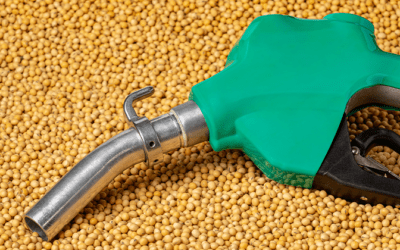 Clean Fuels: CARB Proposal Will Raise Fuel Prices, Thwart Decarbonization Progress