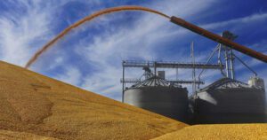 New Assessment Shows Value of Soybean Oil as Low-Carbon Feedstock for Clean Fuels